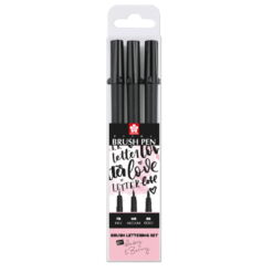 Set carioci Sakura Pigma Brush 3