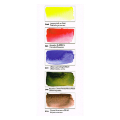 Set Acuarele Aquarius - Starter Palette 5