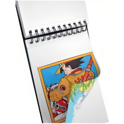 Bloc De Desen Graphit Artbook 80 X 300 Gr.