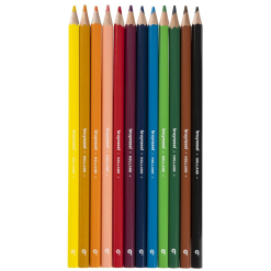 Set 12 Creioane Colorate Bruynzeel Color Pencile Bird - 60312901