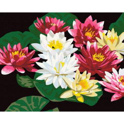 Pictura pe numere - colored lotuses