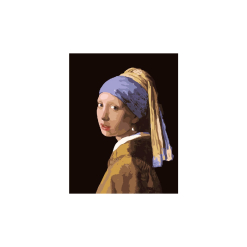 Pictura Pe Numere - Girl With A Pearl Earring - Bs223