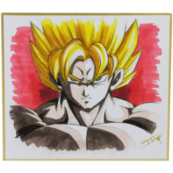 Plansa Shikishi Small 135 X 120 Mm - Portrait - Gi00274