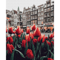 Pictura pe numere - tulips amsterdam