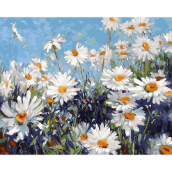 Pictura pe numere - chamomile landscape