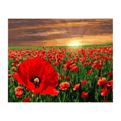 Pictura pe numere - poppy field