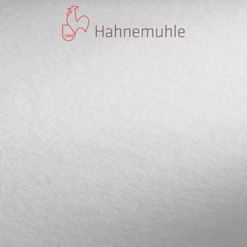 Hartie Desen Hahnemule Concept