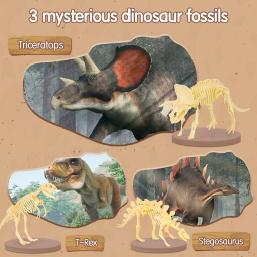 Set Creativ Fossile Detective - T-Rex